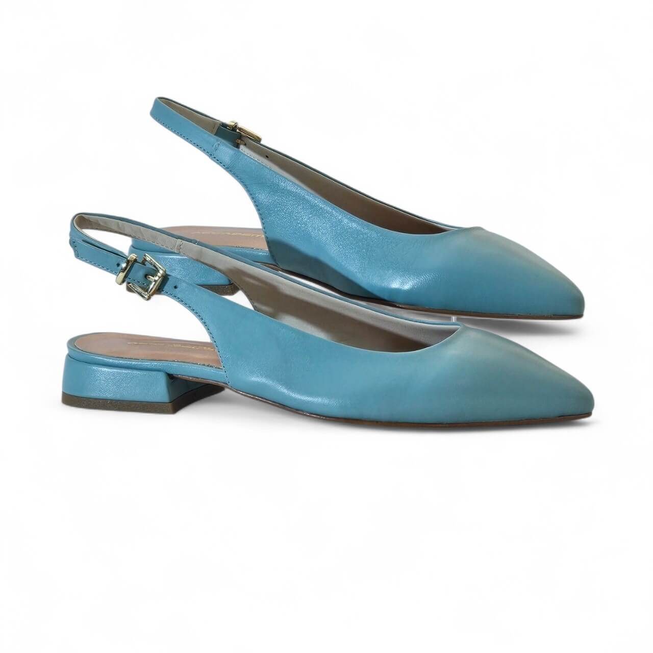Blue slingback flats with pointed toes and low block heel; metallic buckle strap visible on the back strap.